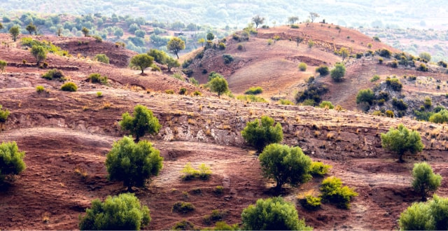 moroccan-desert