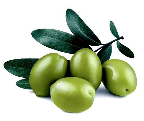 moroccan-olive