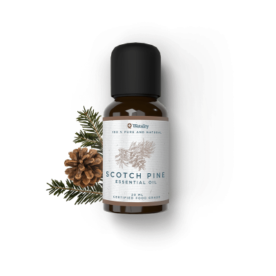 EOScotchPine-shop EOScotchPine-shop
